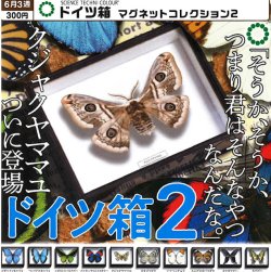 画像1: STC ドイツ箱マグネットコレクション２（再販）（６月）【◇３００円カプセル　４０個入り　いきもん】＋正規台紙