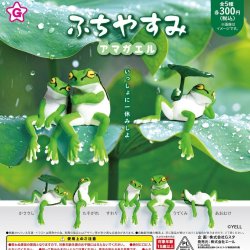 画像1: ふちやすみアマガエル（再販）（６月）【◇３００円カプセル　４０個入り　エール】＋正規台紙