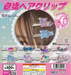 画像1: 自認ヘアクリップ（６月）【◇３００円カプセル　４０個入り　リアライズ】＋正規台紙