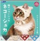 猫のバブーシュカ ネコーシュカ（６月）【◇５００円カプセル　２０個入り　レインボー】＋正規台紙