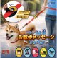 クセがつよ犬 お散歩メッセージワッペン（６月）【◇３００円カプセル　４０個入り　レインボー】＋正規台紙