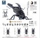 ＳＯ－ＴＡ／◇ＴＦＣ　アニマリエコレクション 1/1オオヒラタクワガタ（６月）