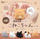 てのひらサイズのこねこちゃん ぬいぐるみ（再販）（６月）【◇４００円カプセル　３０個入り　ピーナッツ】＋正規台紙