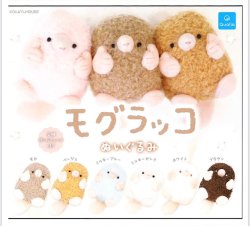 画像1: モグラッコ ぬいぐるみ（６月）【◇５００円カプセル　２０個入り　クオリア】＋正規台紙