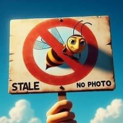 画像1: ポケモン ぺたんこマスコット カントーSPECIAL（６月）【◇３００円カプセル　４０個入り　タカラトミー】＋正規台紙