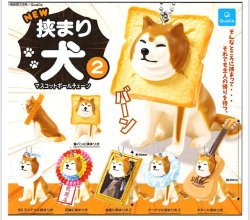 画像1: NEW 挟まり犬 2 マスコットボールチェーン（６月）【◇３００円カプセル　４０個入り　クオリア】＋正規台紙