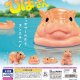 カバヤロウ！ひぽさん（６月）【◇２００円カプセル　５０個入り　スタンバイ】＋正規台紙