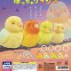 ちいさなめじるし ぽっちゃりインコ（６月）【◇２００円カプセル　５０個入り　スタンバイ】＋正規台紙