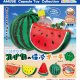 ひえひえスイカの保冷ポーチ（７月）【◆４００円カプセル　３０個入り　アミューズ】＋正規台紙