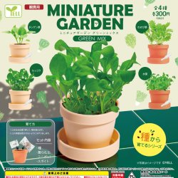 画像1: ミニチュアガーデン－グリーンミックス－（７月）【◆３００円カプセル　４０個入り　エール】＋正規台紙