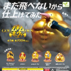 画像1: ＧＯＬＤＥＮムキムキーウィ（再販）（８月）【◆２００円カプセル　５０個入り　エール】＋正規台紙