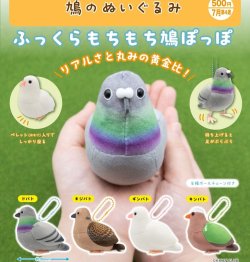 画像1: 鳩のぬいぐるみ（７月）【◆５００円カプセル　２０個入り　奇譚クラブ】＋正規台紙