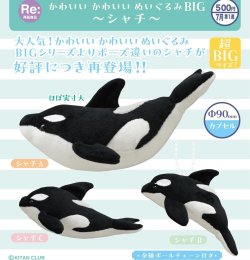 画像1: かわいいかわいい ぬいぐるみ BIG－シャチ－（再販）（７月）【◆５００円カプセル　２０個入り　奇譚クラブ】＋正規台紙