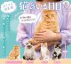 オトナの空気感 猫のいる日日2（７月）【◆４００円カプセル　３０個入り　コトフル】＋正規台紙