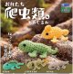 おれたち爬虫類。あみぐるみ（７月）【◆５００円カプセル　２０個入り　レインボー】＋正規台紙