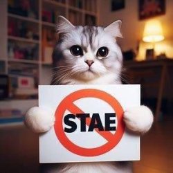 画像1: 不思議の国のアリス　チェシャ猫いっぱいコレクション（７月）【◆４００円カプセル　３０個入り　タカラトミー】＋正規台紙