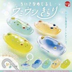 画像1: ちいさなめじるしウミウシきらり（７月）【◆２００円カプセル　５０個入り　スタンバイ】＋正規台紙