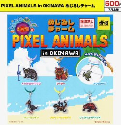 画像1: PIXEL ANIMALS in OKINAWAめじるしチャーム（７月）【◆５００円カプセル　２４個入り　イエロー】＋正規台紙