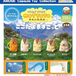 画像1: マーモットのもっとっとここだよますこっと（８月）【□３００円カプセル　４０個入り　アミューズ】＋正規台紙
