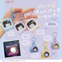 画像1: ピカッと　ペットバッグ　キーホルダー（８月）【□４００円カプセル　３０個入り　アオポップ】＋正規台紙