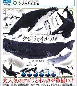 画像1: NTC400 クジラとイルカ（再販）（８月）【□４００円カプセル　３０個入り　いきもん】＋正規台紙