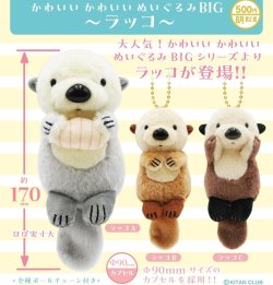 画像1: かわいいかわいい ぬいぐるみ BIG（ラッコ）（８月）【□５００円カプセル　２０個入り　奇譚クラブ】＋正規台紙
