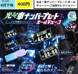 画像1: 光る！車ナンバープレートコレクション（ご当地セレクション）（８月）【□４００円カプセル　３０個入り　エス・トラスト】＋正規台紙