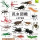 昆虫図鑑（再販）（８月）（□１００円カプセル　１００個入り　共同】＋正規台紙