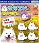 サモエドくんでかぽん（９月）【■４００円カプセル　３０個入り　アミューズ】＋正規台紙
