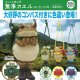 カエルの森工房 無事カエル ストラップ弐（山野草色）（９月）【■４００円カプセル　３０個入り　奇譚クラブ】＋正規台紙
