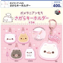 画像1: ポメラニアンもち さがらキーホルダー（９月）【■４００円カプセル　３０個入り　ウルプラ】＋正規台紙