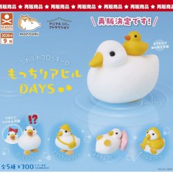 画像1: もっちりアヒルDAYS（再販）（９月）【■３００円カプセル　４０個入り　S・ストーンズ】＋正規台紙