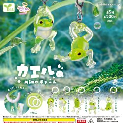 画像1: カエルのｍｉｎｅチャーム（９月）【■２００円カプセル　５０個入り　エール】＋正規台紙