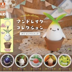 画像1: マンドレイクコレクション めじるしマスコット（９月）【■３００円カプセル　４０個入り　S・ストーンズ】＋正規台紙