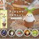 マンドレイクコレクション めじるしマスコット（９月）【■３００円カプセル　４０個入り　S・ストーンズ】＋正規台紙