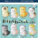 おすわりねこちゃん（９月）【■３００円カプセル　４０個入り　十影堂】＋正規台紙
