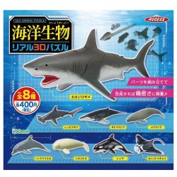 画像1: 海洋生物リアル3Dパズル（９月）【■４００円カプセル　３０個入り　アクセス】＋正規台紙