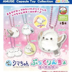 画像1: ふくふくシマちゃんぷっくりんちょキーホルダー（１０月）【△３００円カプセル　４０個入り　アミューズ】＋正規台紙