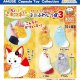 ちょコンとキツネのミニふわしっぽ3（１０月）【△４００円カプセル　３０個入り　アミューズ】＋正規台紙
