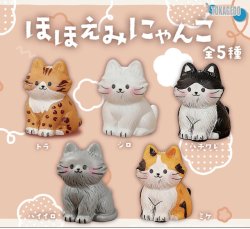 画像1: ほほえみにゃんこ（１０月）【△３００円カプセル　４０個入り　十影堂】＋正規台紙