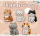 ほほえみにゃんこ（１０月）【△３００円カプセル　４０個入り　十影堂】＋正規台紙