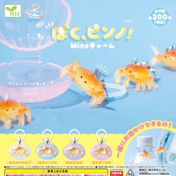 画像1: ぼく、ピンノ！ｍｉｎｅチャーム（１０月）【△２００円カプセル　５０個入り　エール】＋正規台紙