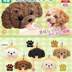 画像1: ぺろりんトイプードルめじるしぬいチャーム（再販）（１０月）【△４００円カプセル　３０個入り　リアンＱ】＋正規台紙
