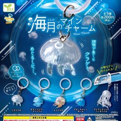 画像1: 海月（くらげ）のｍｉｎｅチャーム（１０月）【△２００円カプセル　５０個入り　エール】＋正規台紙