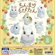 ちんまり　らびたん（１０月）【△２００円カプセル　５０個入り　スタンバイ】＋正規台紙