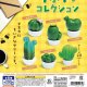 サボテン　コレクション（１０月）【△２００円カプセル　５０個入り　スタンバイ】＋正規台紙