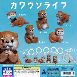 画像1: ちいさなめじるし カワウソライト（１０月）【△２００円カプセル　５０個入り　スタンバイ】＋正規台紙