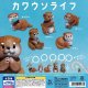 ちいさなめじるし カワウソライト（１０月）【△２００円カプセル　５０個入り　スタンバイ】＋正規台紙