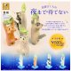 花房さくらの夜まで待てない（１０月）【△５００円カプセル　２０個入り　SO-TA】＋正規台紙