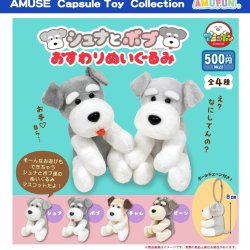 画像1: シュナとボブおすわりぬいぐるみ（１１月）【▲５００円カプセル　２０個入り　アミューズ】＋正規台紙